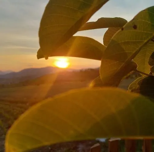 Lena Σπίτι διακοπών *